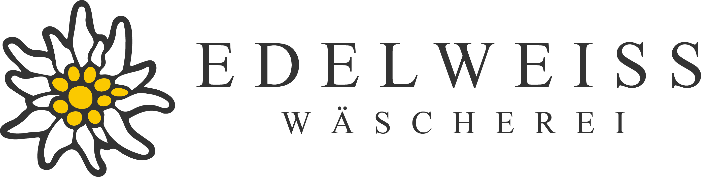 Logo Edelweiss Wäscherei Arosa